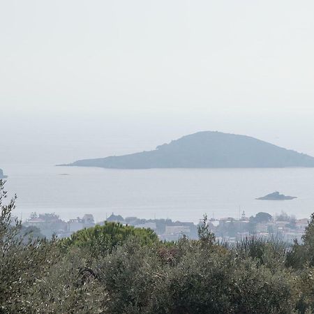 Armamento Villa Moni Evaggelistrias Экстерьер фото